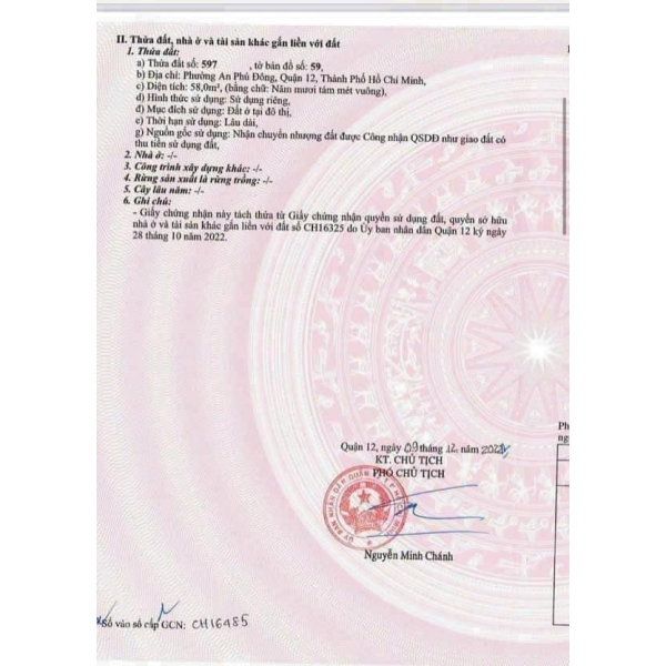 Bán Gấp Lô Đất Hẻm 252 Vườn Lài