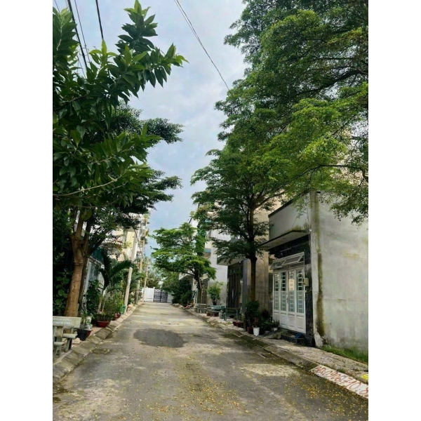 Bán Đất 1/ Sông Sài Gòn, Phường An Phú Đông, Quận 12