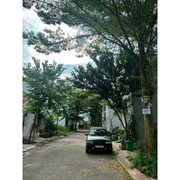 Bán Đất 1/ Sông Sài Gòn, Phường An Phú Đông, Quận 12